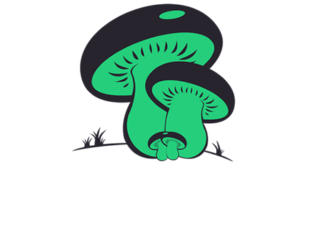 Società di consulenza ambientale, gestione rifiuti | Funghi Mario