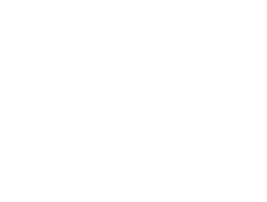 Modello organizzativo <br />Dlgs 231
